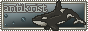 Antikrist